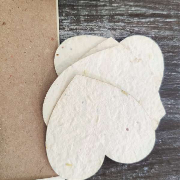 libretto messa carta piantabile matrimonio ecofriendly ecofattoart